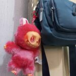 Labubu Pop Mart the monsters - Big into energy Series Vinyl face single Blind Box , photo review